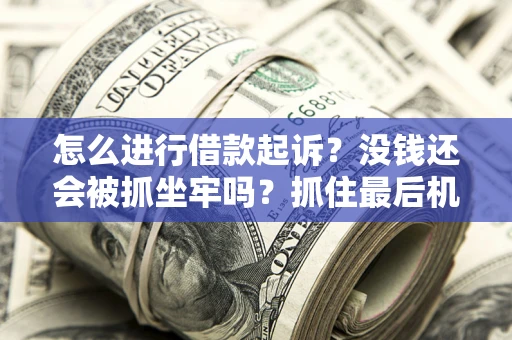 武汉怎么进行借款起诉？没钱还会被抓坐牢吗？抓住最后机会！