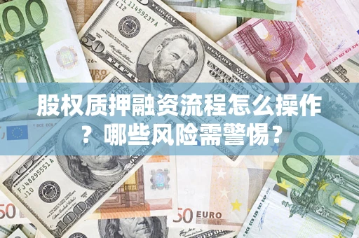 武汉股权质押融资流程怎么操作？哪些风险需警惕？