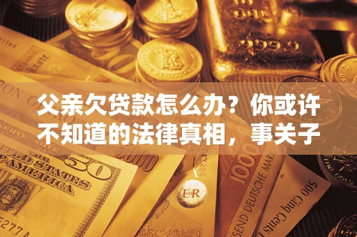 武汉父亲欠贷款怎么办？你或许不知道的法律真相，事关子女未来