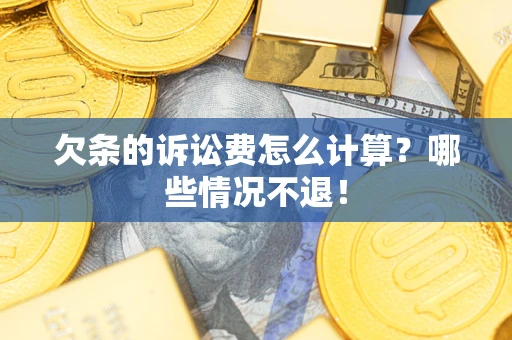 武汉欠条的诉讼费怎么计算？哪些情况不退！