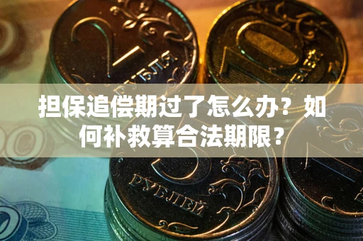 武汉担保追偿期过了怎么办？如何补救算合法期限？