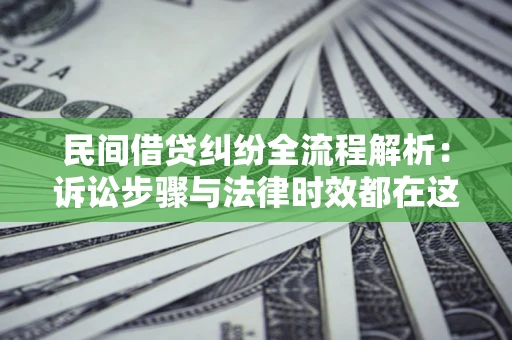 武汉民间借贷纠纷全流程解析：诉讼步骤与法律时效都在这儿了