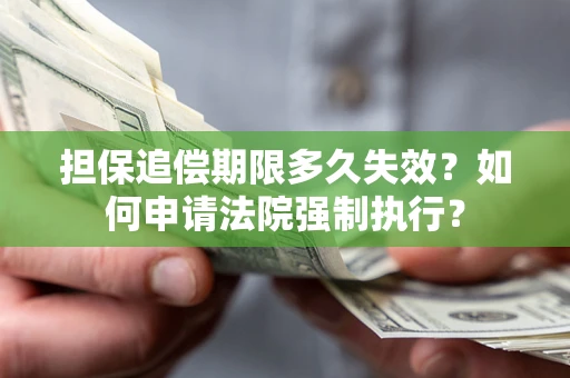 武汉担保追偿期限多久失效？如何申请法院强制执行？