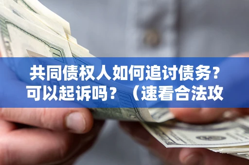 武汉共同债权人如何追讨债务？可以起诉吗？（速看合法攻略）