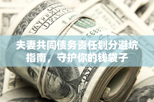 武汉夫妻共同债务责任划分避坑指南，守护你的钱袋子