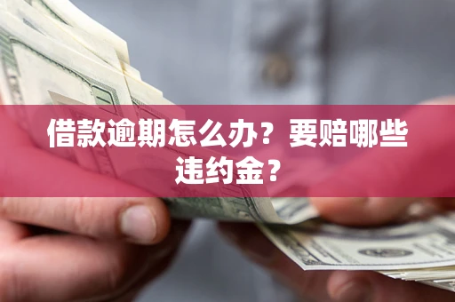 武汉借款逾期怎么办？要赔哪些违约金？